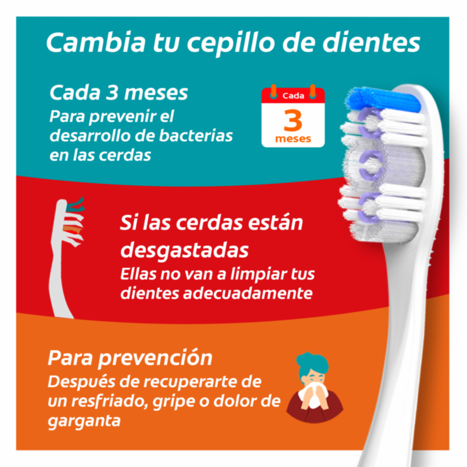 Cepillo Dental Slimsoft Charcoal COLGATE 1X2 Unidades