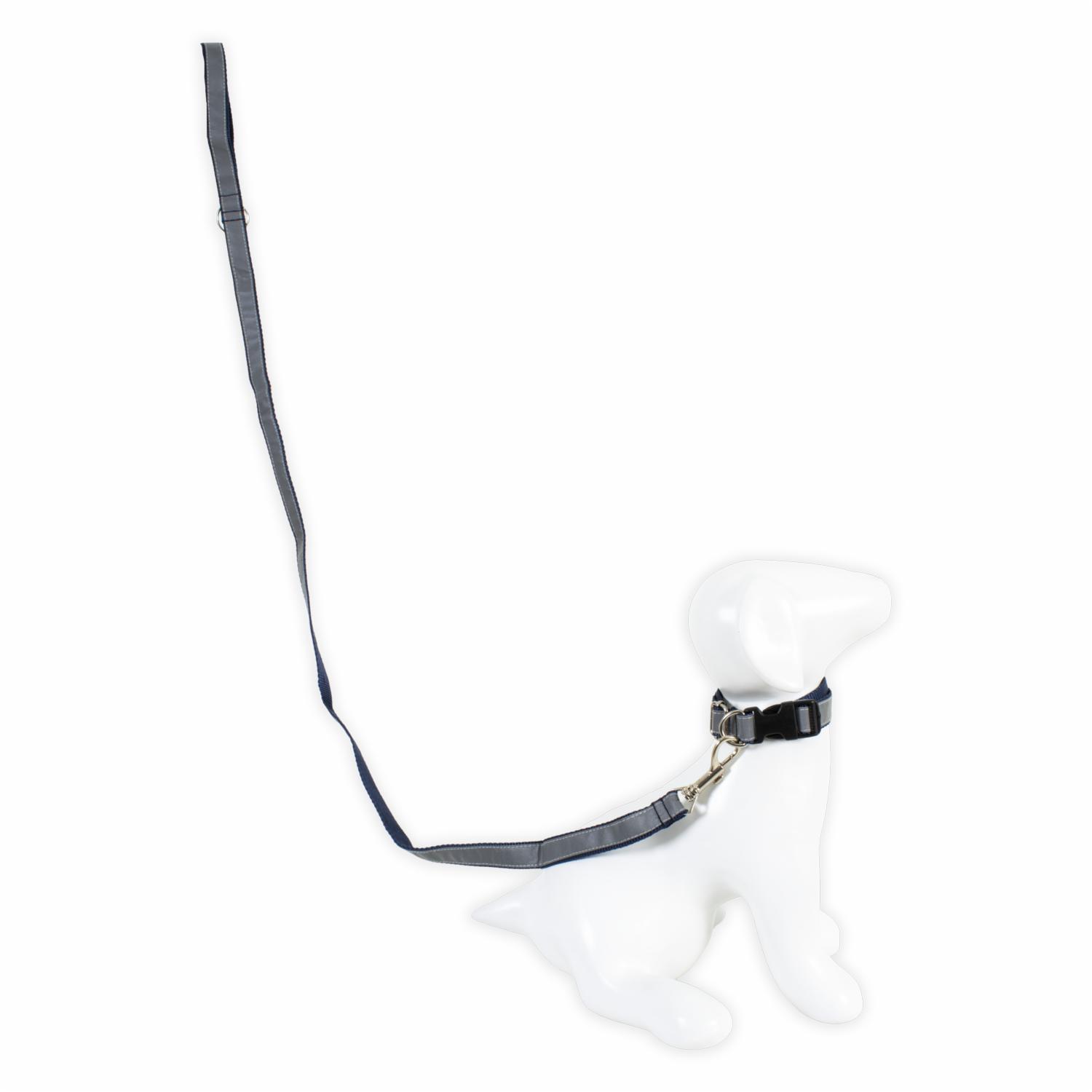 Collar Para Mascota Y Traílla Reflectiva THE PET FACTORY Pequeño