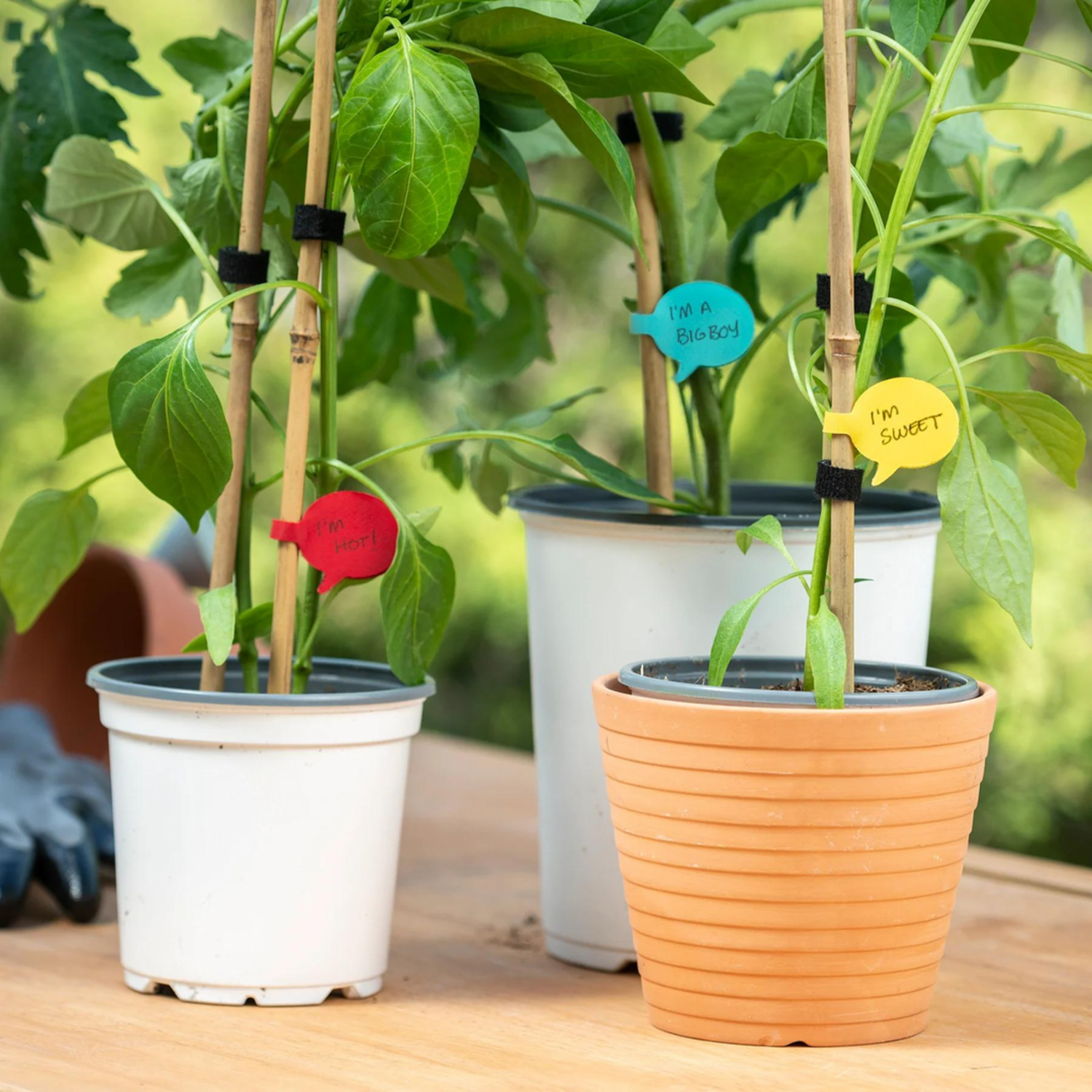 Globos Organizadores Para Cables WRAP IT Unidad