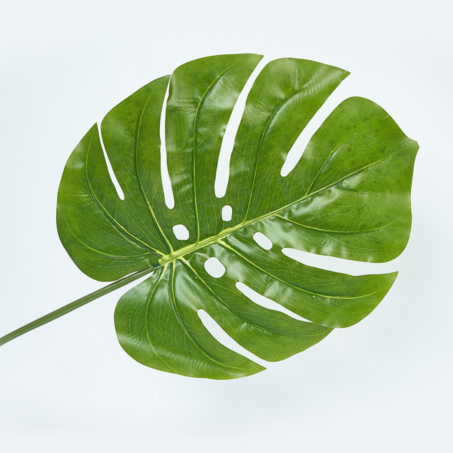 Hoja Balazo FREE HOME Verde