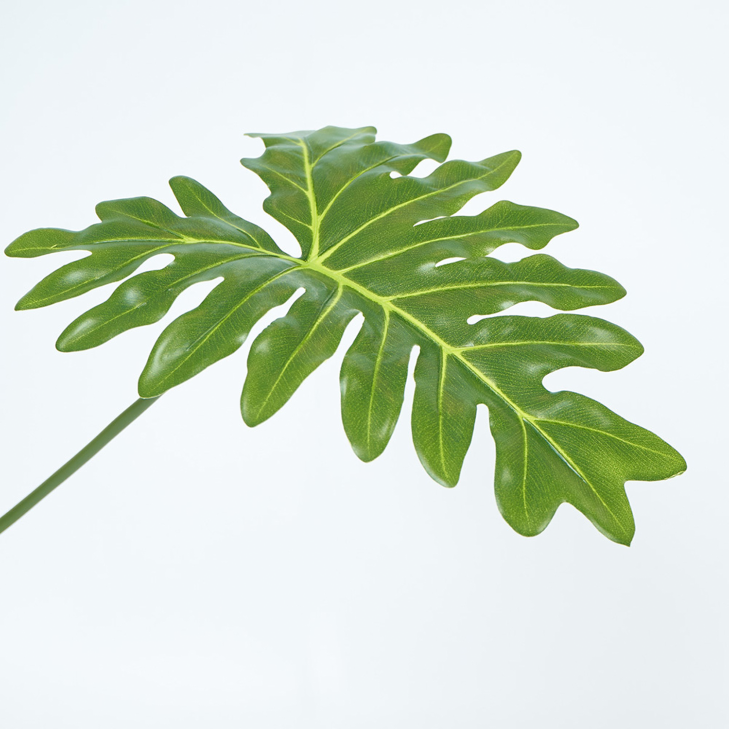 Hoja Decorativa Puntiaguda FREE HOME Verde