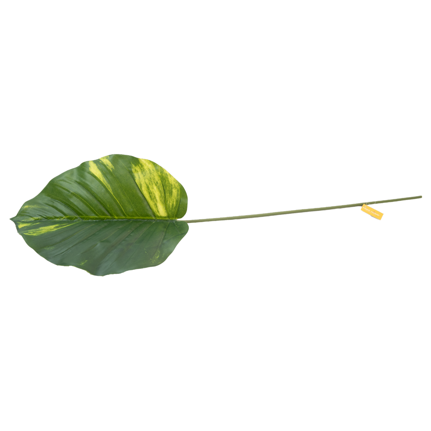 Hoja Decorativa FREE HOME Verde