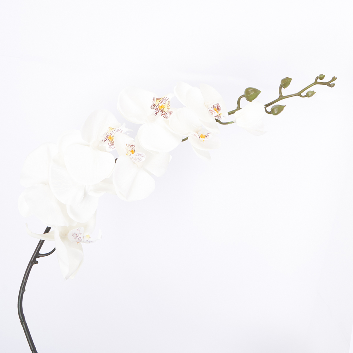 Orquídea Decorativa FREE HOME Blanco