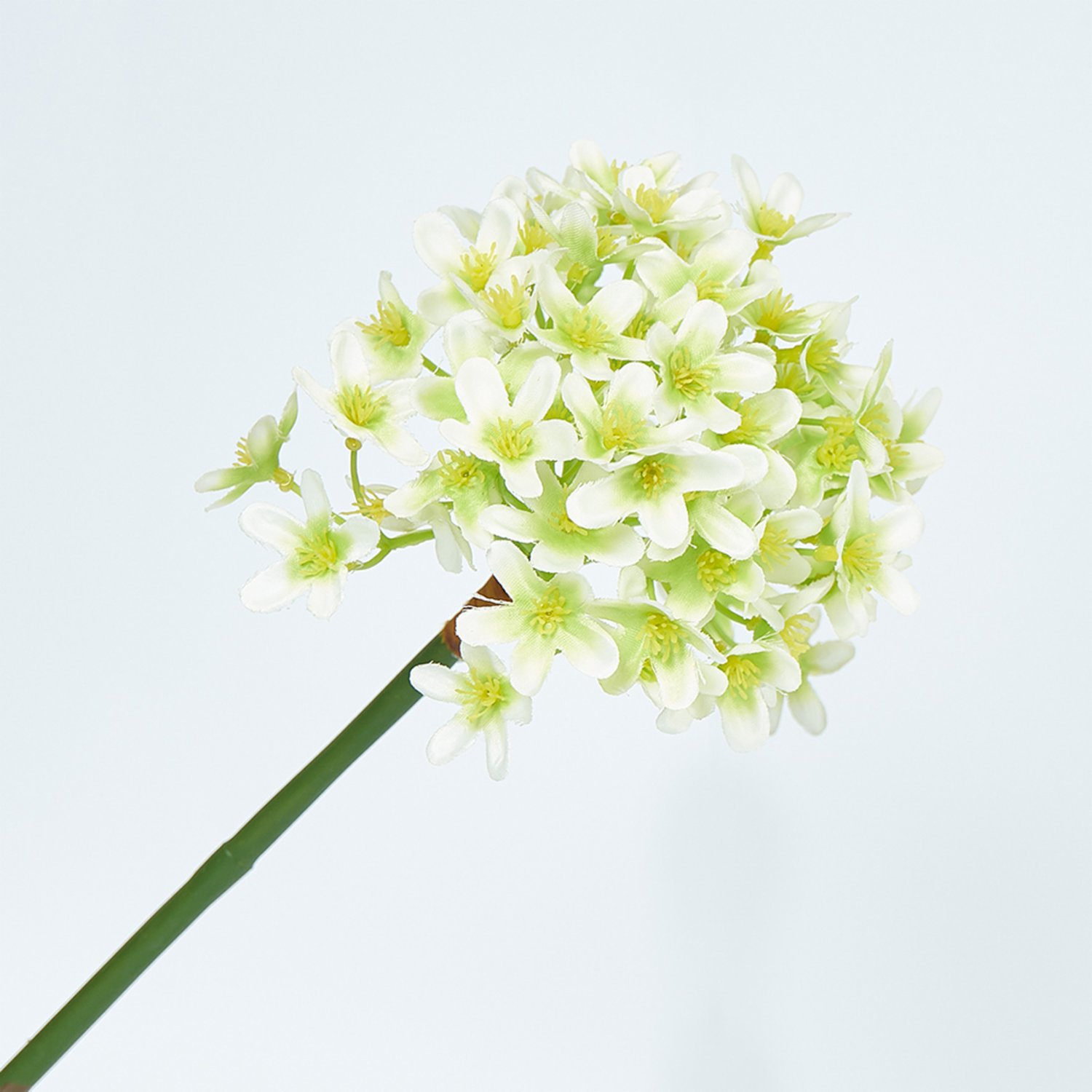 Ramillete Flores Pequeñitas FREE HOME Blanco
