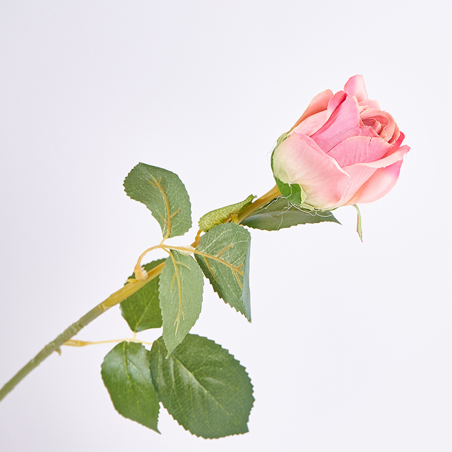 Rosa Solitaria FREE HOME Rojo