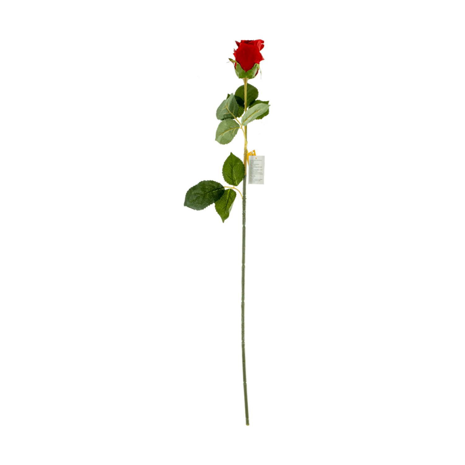 Rosa Solitaria FREE HOME Rojo