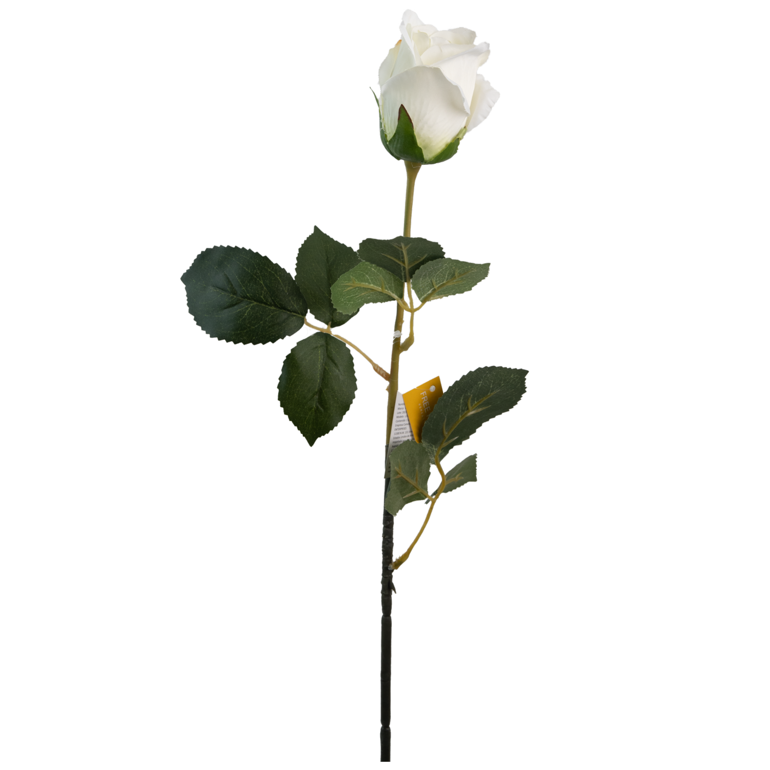 Rosa Solitaria FREE HOME Blanco