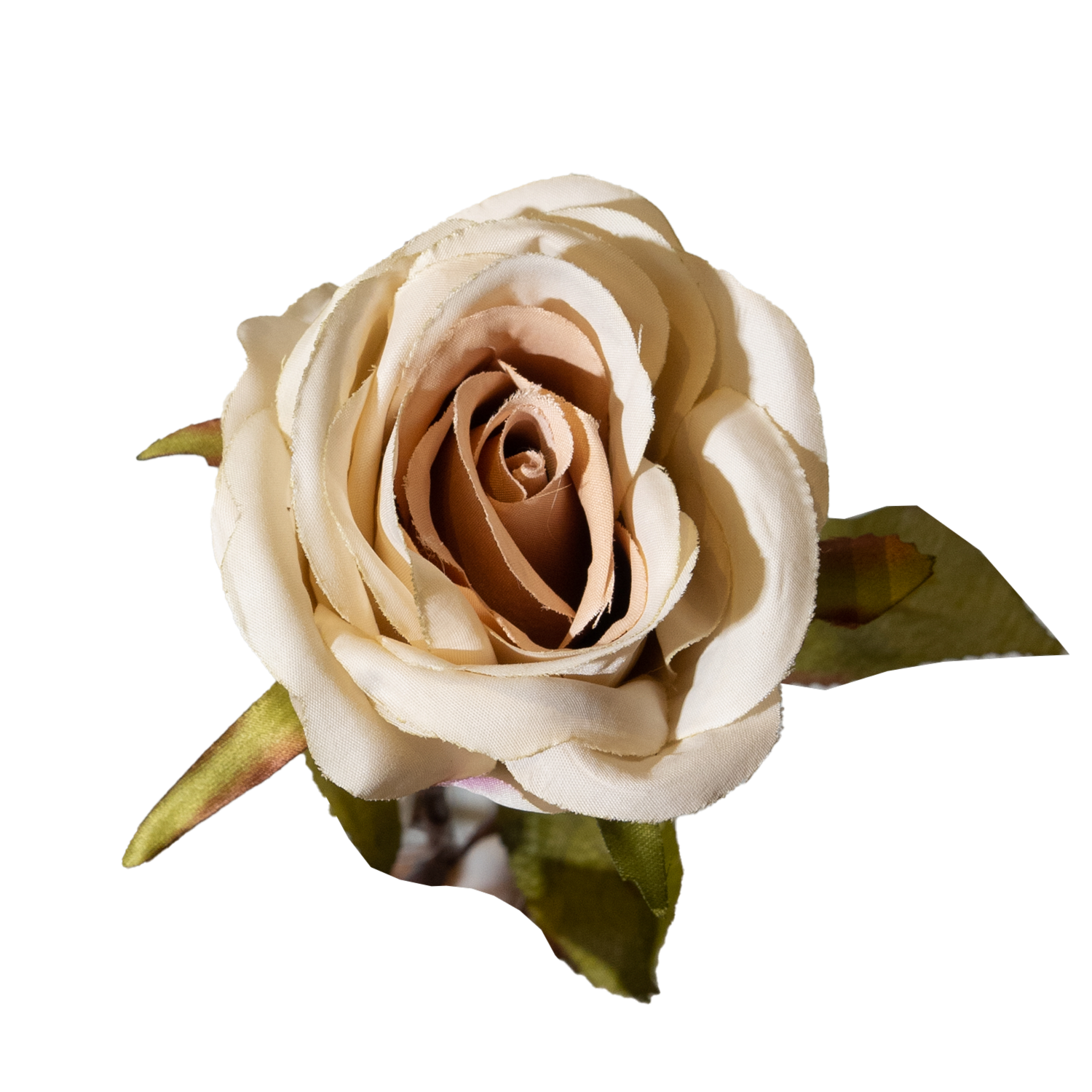 Rosa Crema FREE HOME Artificial