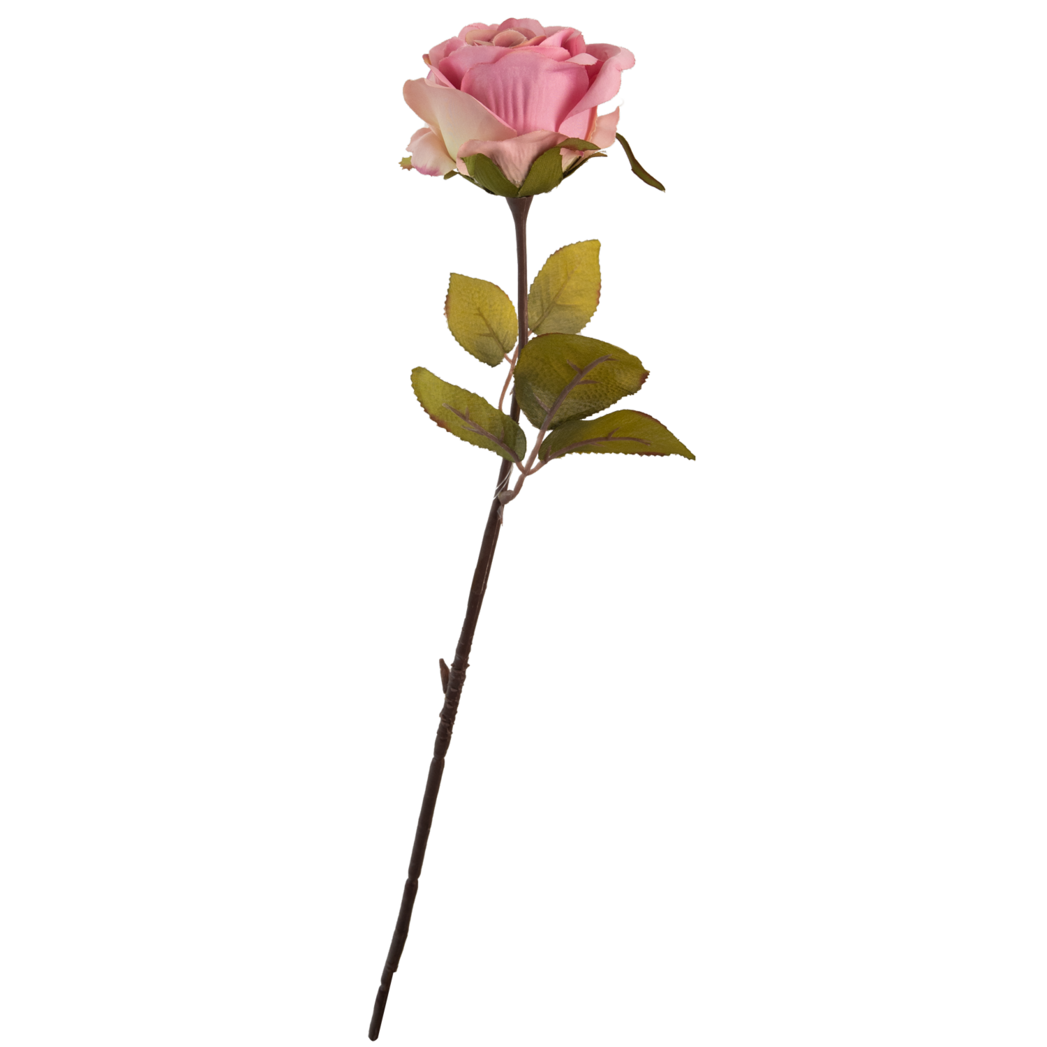 Rosa Rosado FREE HOME Rosado con Lila