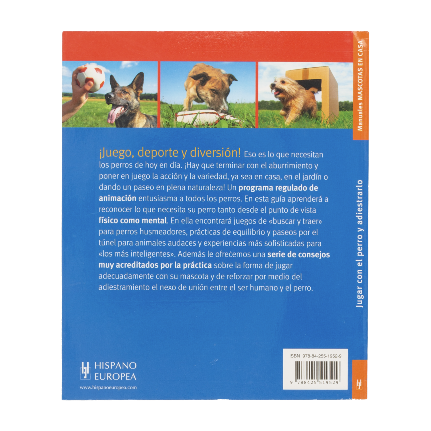 Libro Jugar Con El Perro Y Adiestrarlo HISPANO EUROPEA 96 Páginas