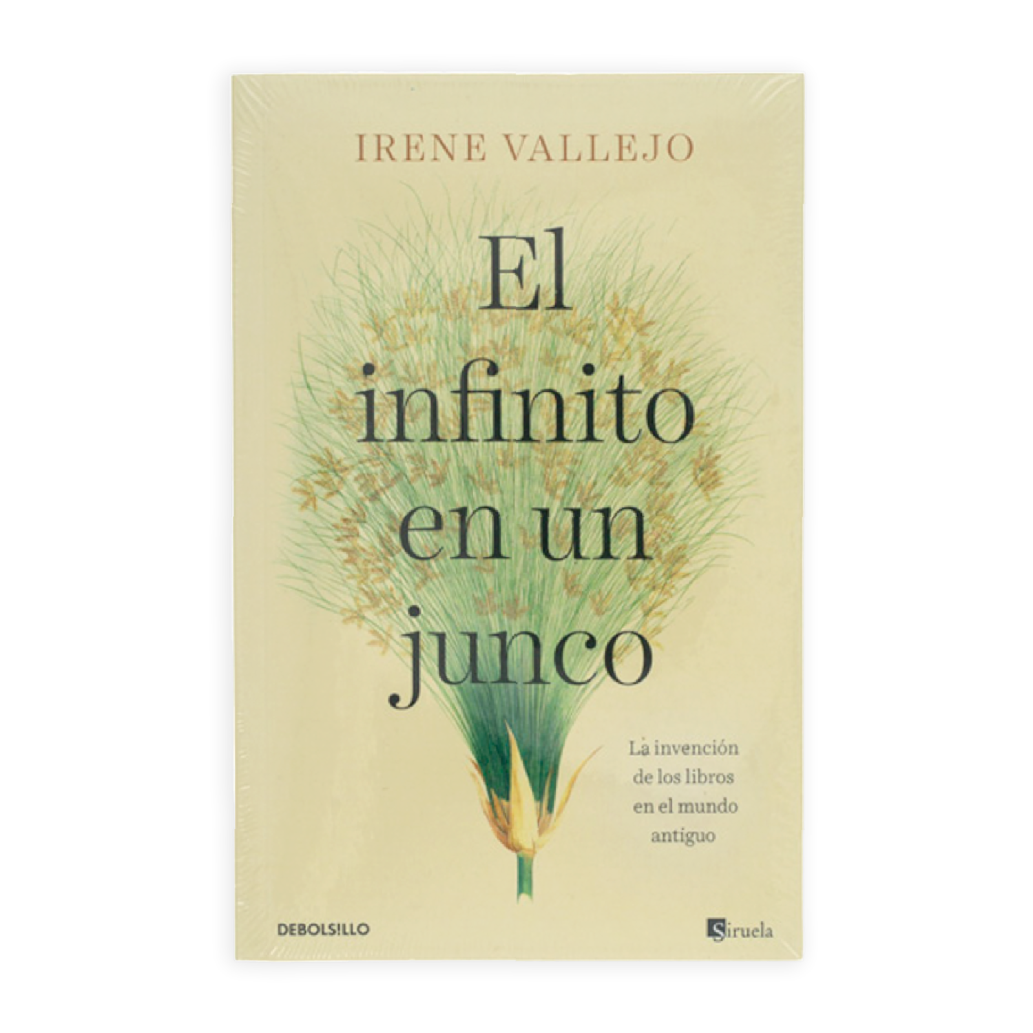 El Infinito En Un Junco Irene Vallejo DEBOLSILLO 456 Páginas